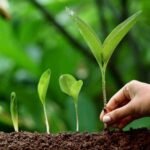 Empowering Communities for a Sustainable and Inclusive Future