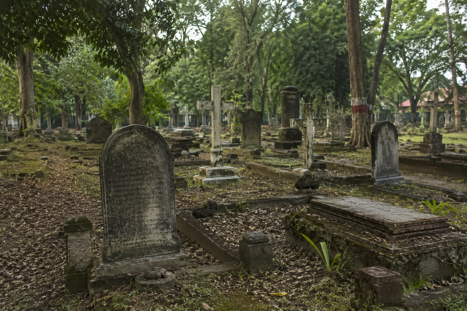 Heritage Preservation & Cemetery Documentation Initiative